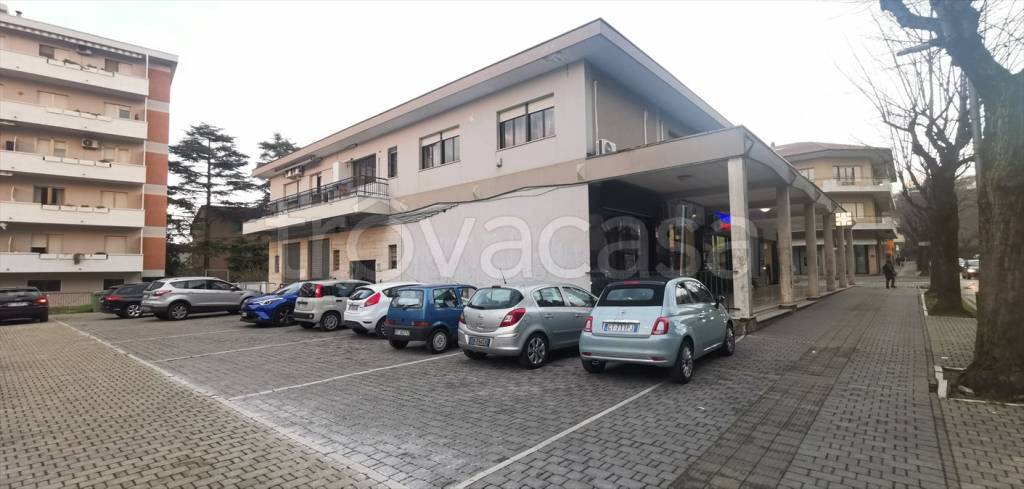 quadrivano in affitto a Chieti in zona Chieti Scalo