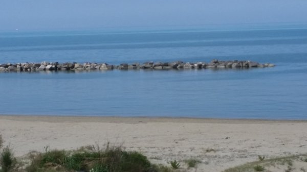 casa indipendente in affitto a Francavilla al Mare