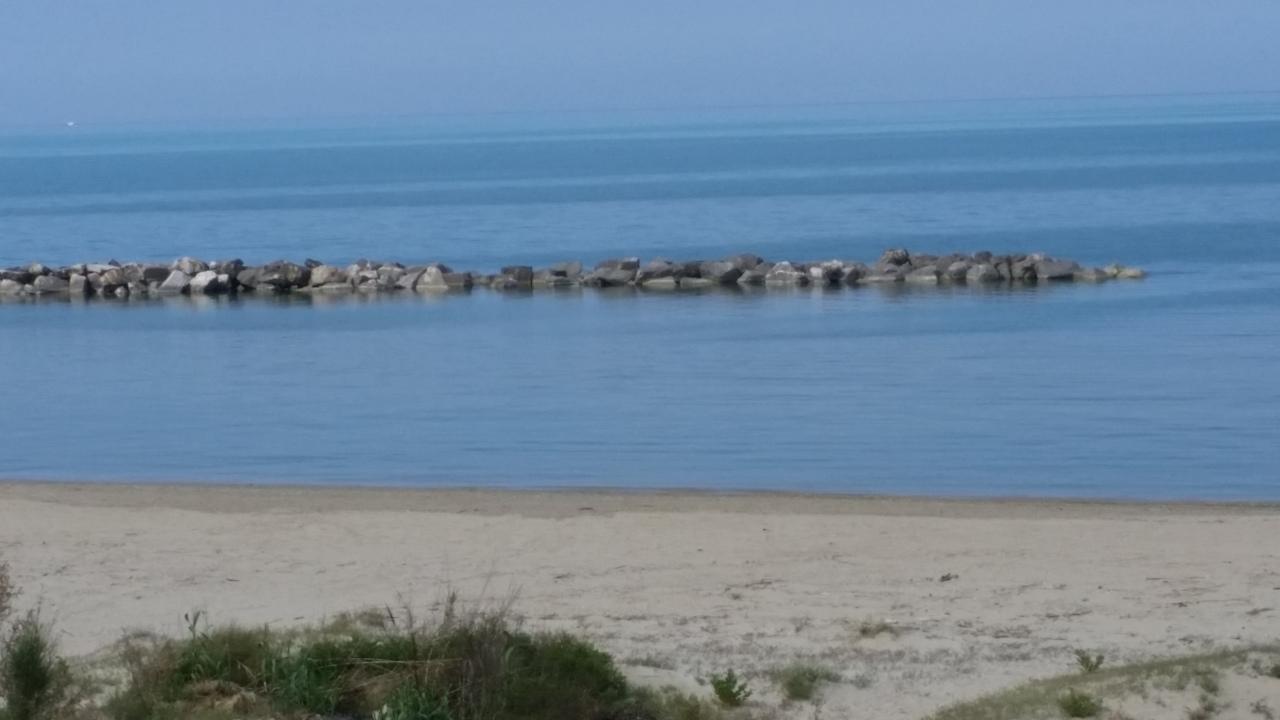casa indipendente in affitto a Francavilla al Mare