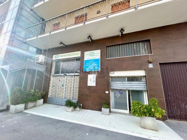 negozio in affitto a Francavilla al Mare