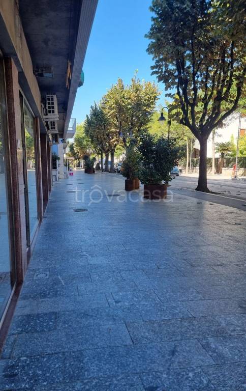 negozio in affitto a Francavilla al Mare