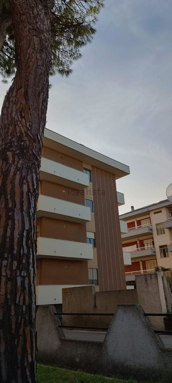 appartamento in affitto a Francavilla al Mare