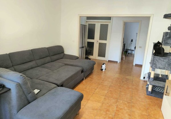 appartamento in affitto a Lanciano