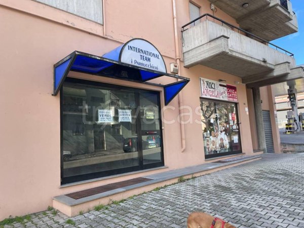 negozio in affitto a Lanciano