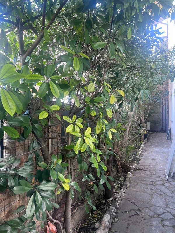 appartamento in affitto a Lanciano