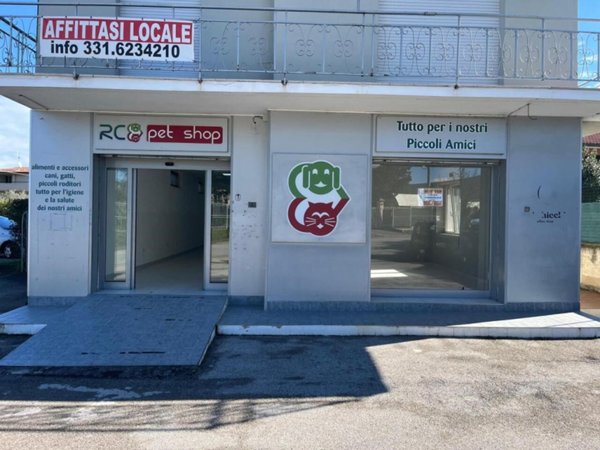 negozio in affitto a Lanciano in zona Villa Martelli