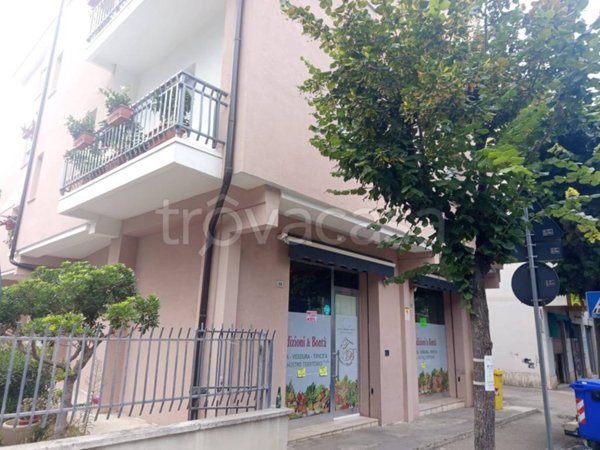 negozio in affitto a Lanciano