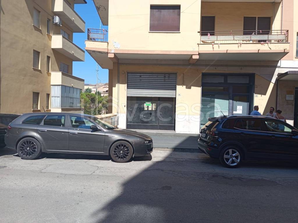 immagine annuncio 0 di 15