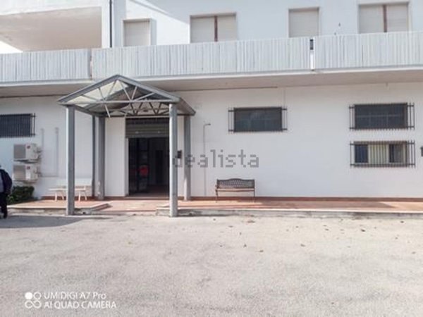 appartamento in affitto a Mozzagrogna