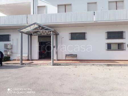 locale commerciale in affitto a Mozzagrogna