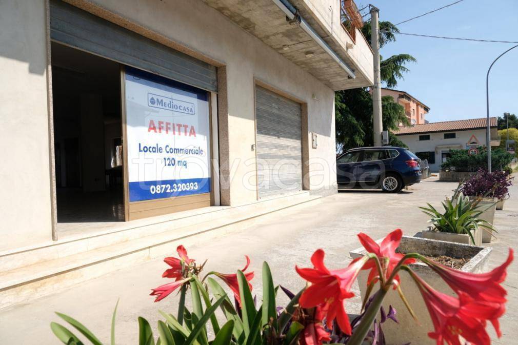 monolocale in affitto a Paglieta