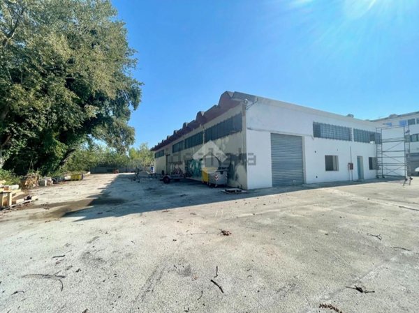 capannone in affitto a San Giovanni Teatino