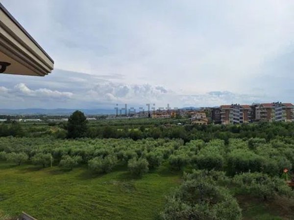 appartamento in affitto a San Salvo in zona San Salvo Marina