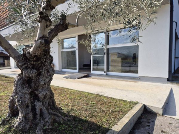 negozio in affitto a Torrevecchia Teatina