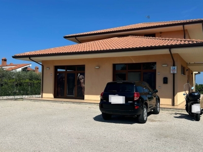 negozio in affitto a Treglio