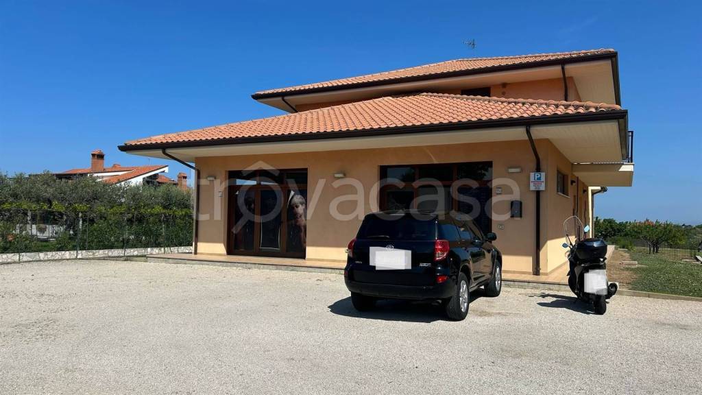 immagine annuncio 0 di 15