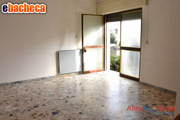 negozio in affitto a Vasto
