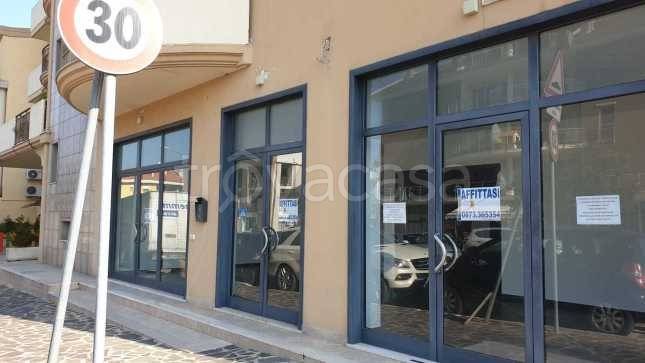trivano in affitto a Vasto