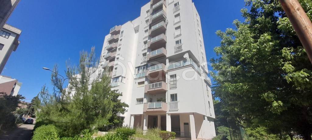 appartamento in affitto a Vasto