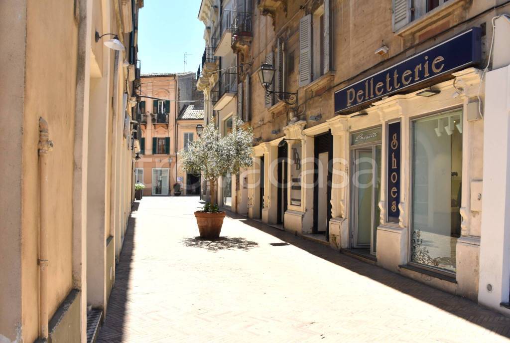 immagine annuncio 0 di 15