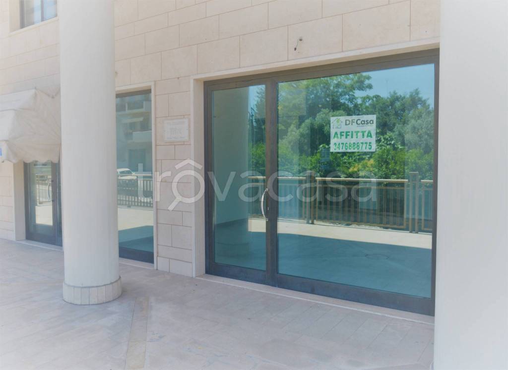 negozio in affitto a Vasto