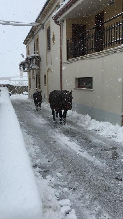 appartamento in affitto a Bojano in zona Castellone