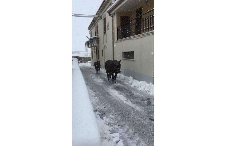 appartamento in affitto a Bojano in zona Castellone