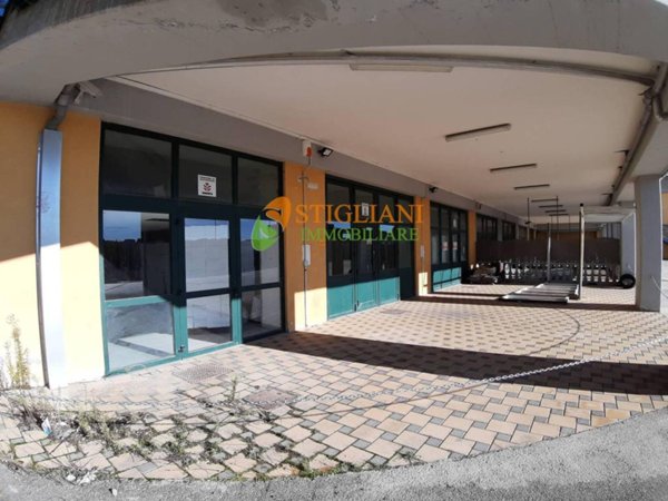 negozio in affitto a Campobasso