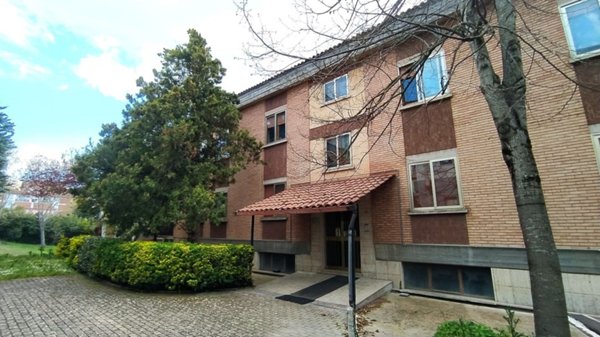 appartamento in affitto a Campobasso in zona Centro Città