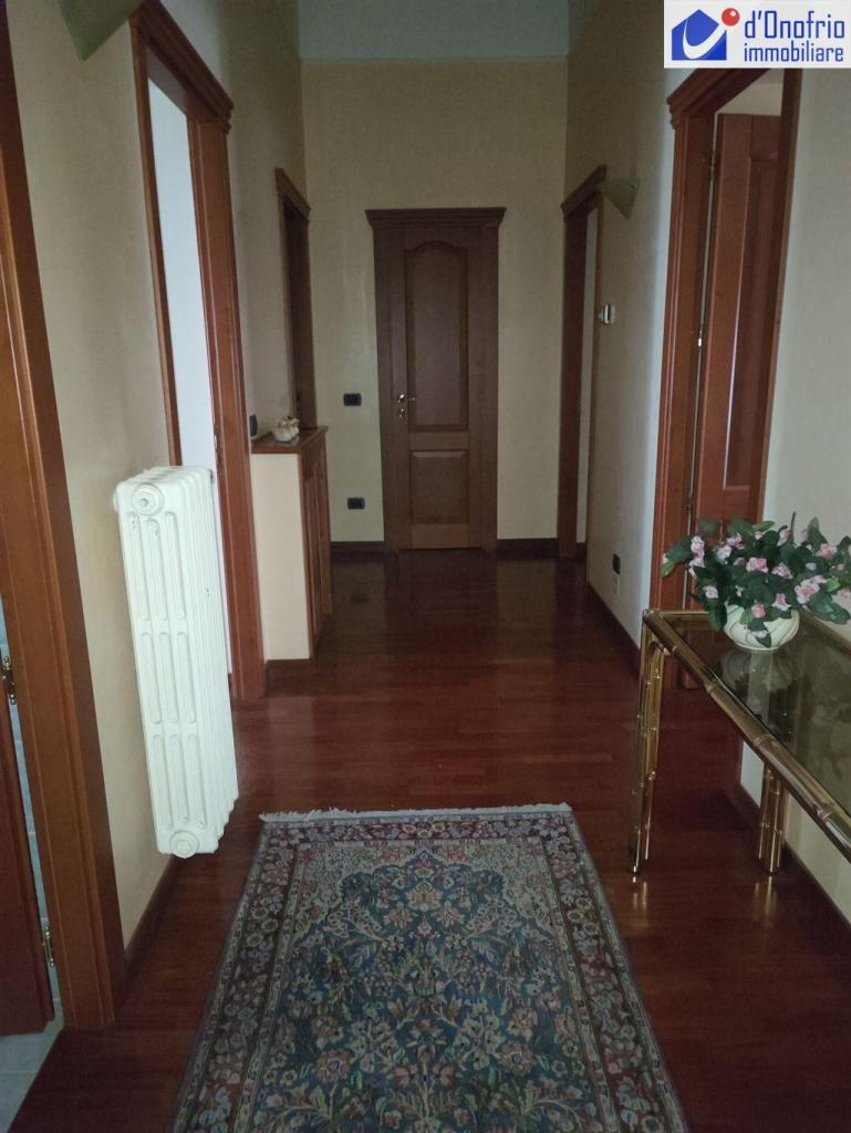 appartamento in affitto a Campobasso