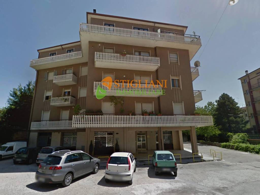 negozio in affitto a Campobasso