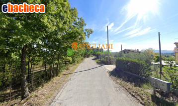 appartamento in affitto a Campobasso