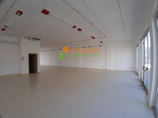 locale commerciale in affitto a Campobasso