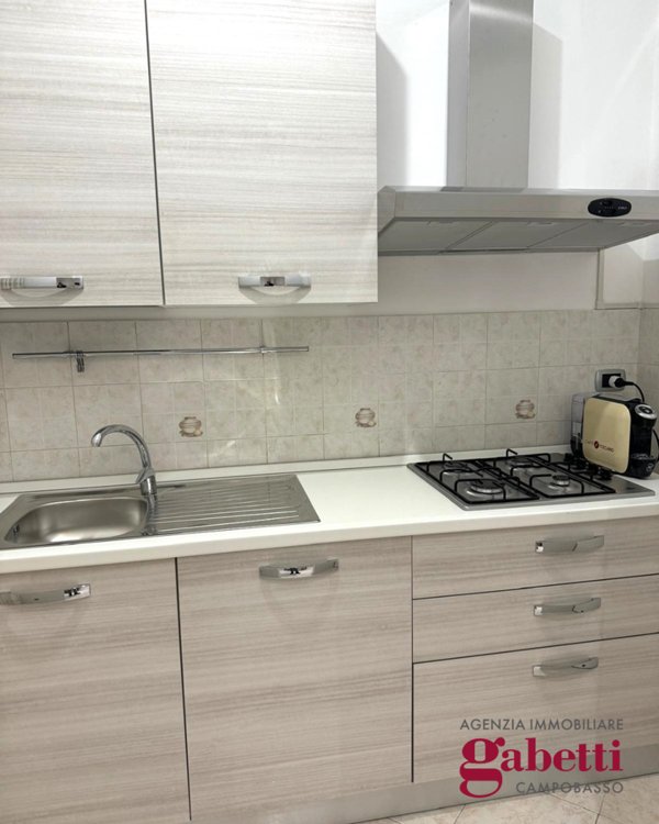 appartamento in affitto a Campobasso