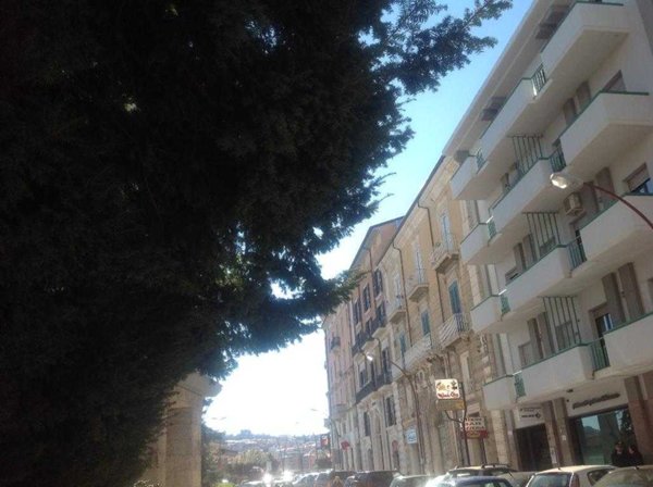 locale commerciale in affitto a Campobasso