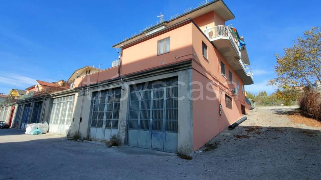 negozio in affitto a Campobasso