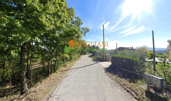 appartamento in affitto a Campobasso
