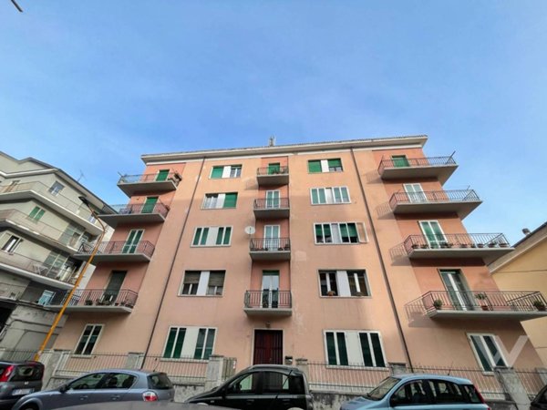 negozio in affitto a Campobasso