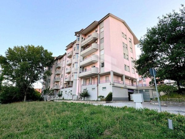 appartamento in affitto a Campobasso