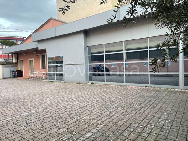 negozio in affitto a Campobasso