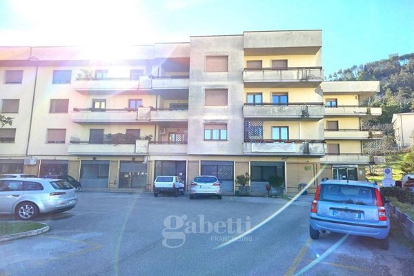 negozio in affitto a Campobasso