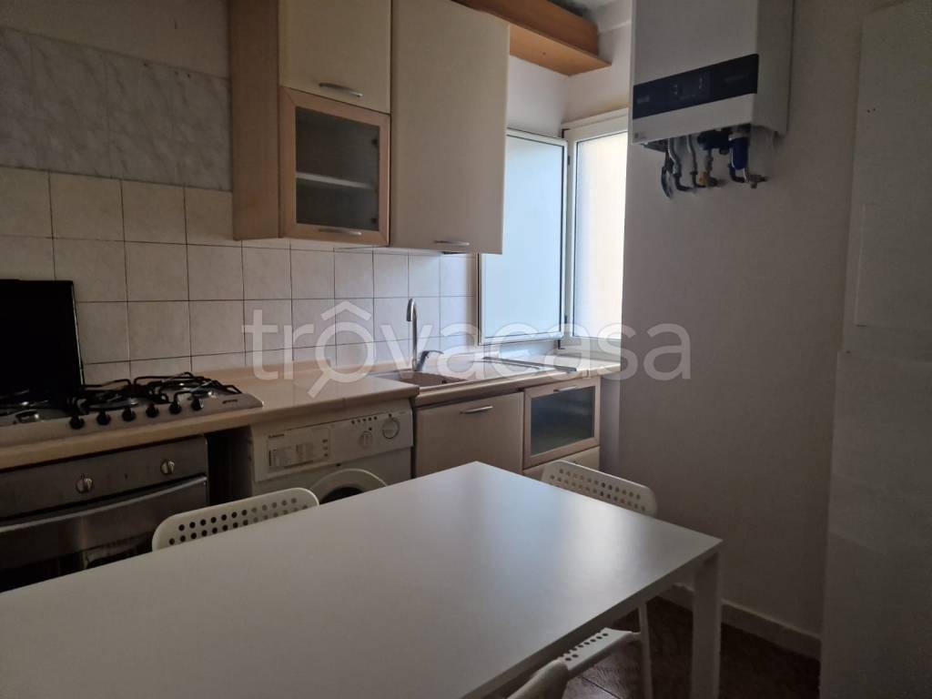 appartamento in affitto a Campobasso