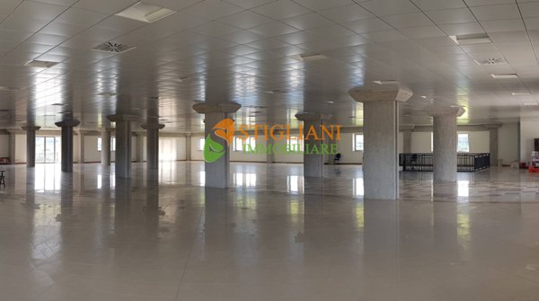 locale commerciale in affitto a Campobasso in zona Colle delle Api