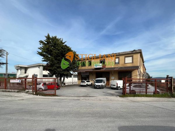 ufficio in affitto a Campobasso in zona Colle delle Api
