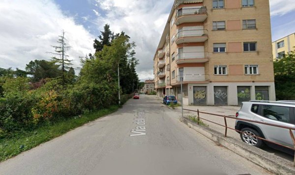 appartamento in affitto a Campobasso