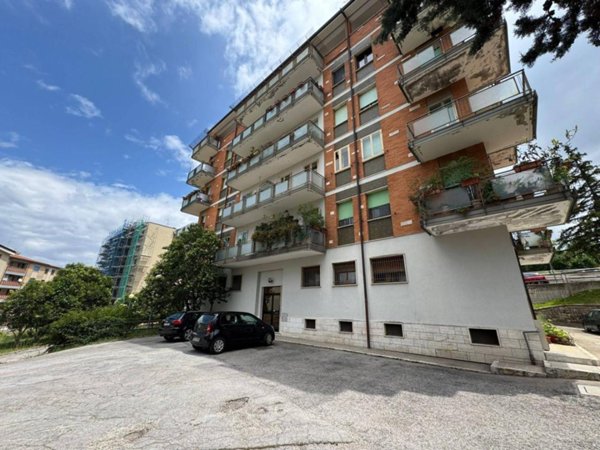 appartamento in affitto a Campobasso