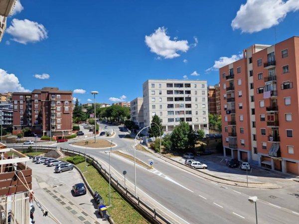 appartamento in affitto a Campobasso