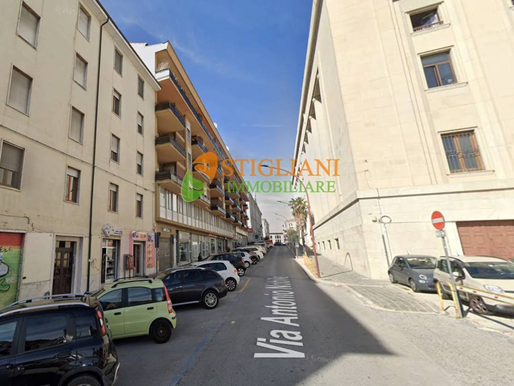 negozio in affitto a Campobasso