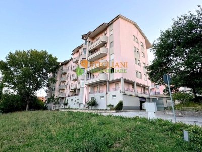 appartamento in affitto a Campobasso