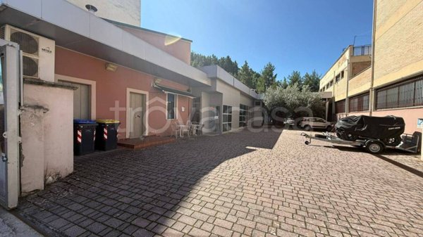 negozio in affitto a Campobasso